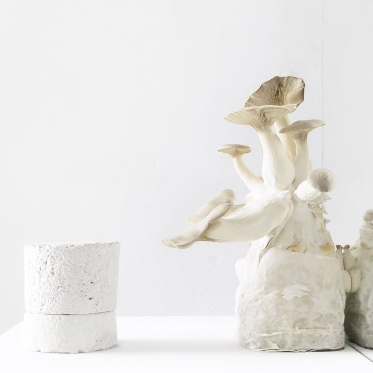 Amen’s Chakra candle comes in carbon negative packaging made of mushrooms. Photo: Handout