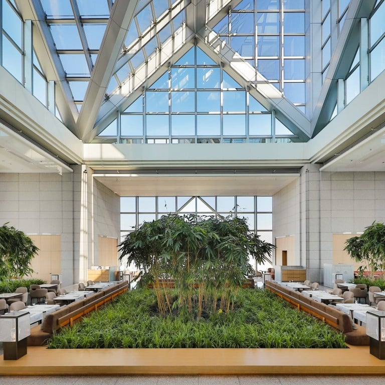 The famous bamboo grove at The Peak Lounge & Bar at Park Hyatt Tokyo. Photo: Handout