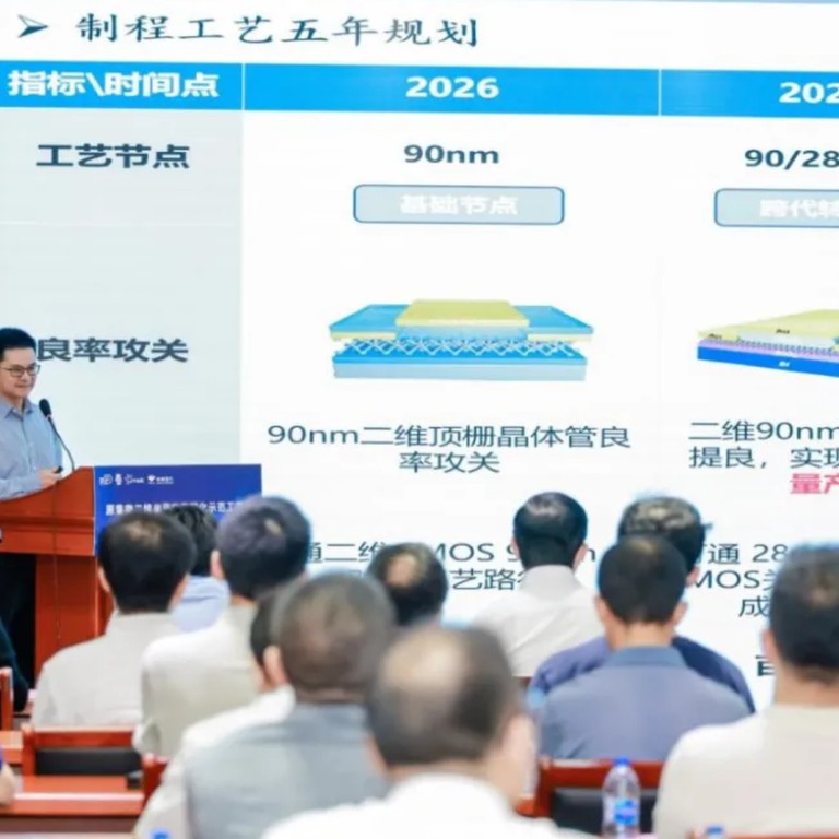 Nvidia's future challenger? Chinese start-up reveals aggressive AI