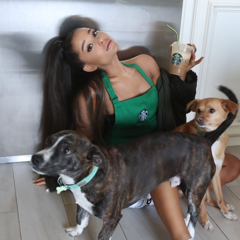 From Ariana Grande to Rawvana, 5 vegan celebrities who got caught and