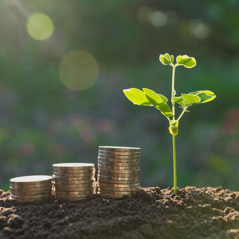 Global Investors To Fully Adopt Green Investments By 2030 As Trend Gathers Pace Finds Survey South China Morning Post