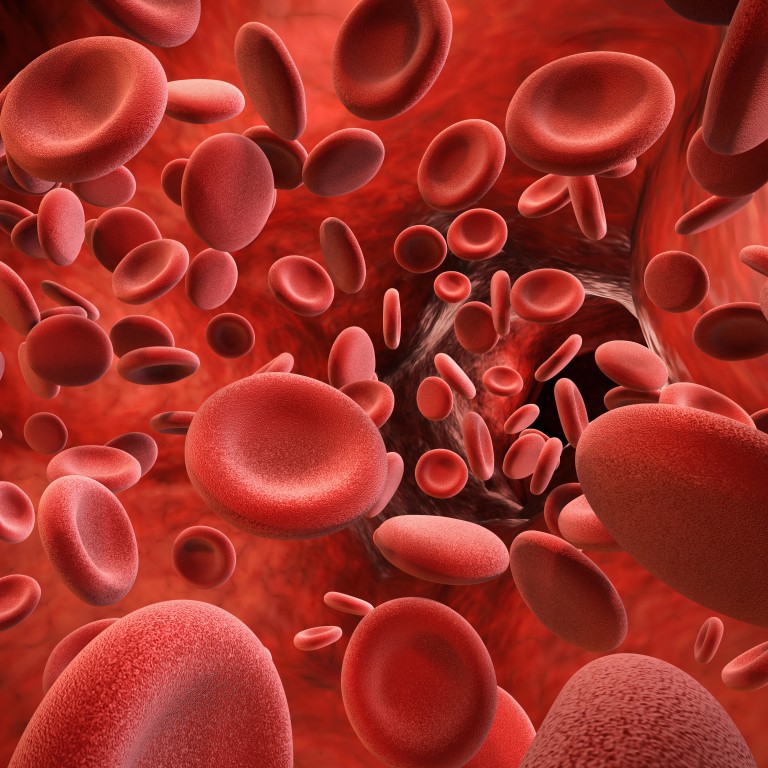 red blood cells travel
