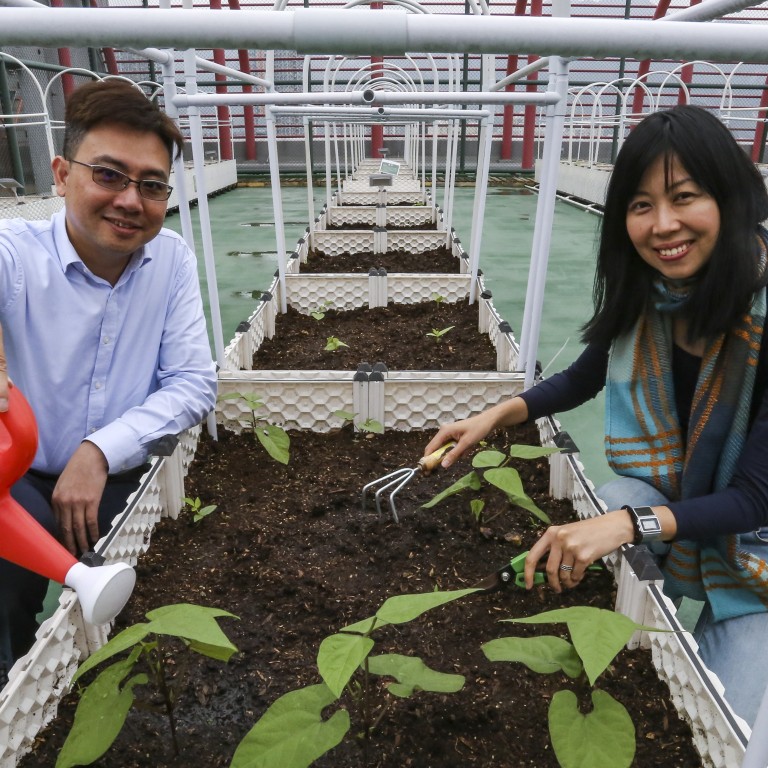 Hong Kong industrial building champions green spirit by funding rooftop