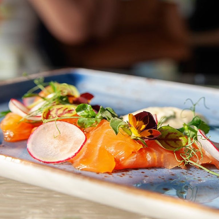 The World Gourmet Summit 2019 includes programmes that aim to raise awareness on food-waste management.