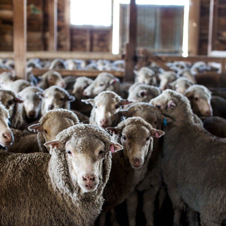 Ermenegildo Zegna hosts The Wool Awards, which Ermenegildo Zegna helped establish in 1963.