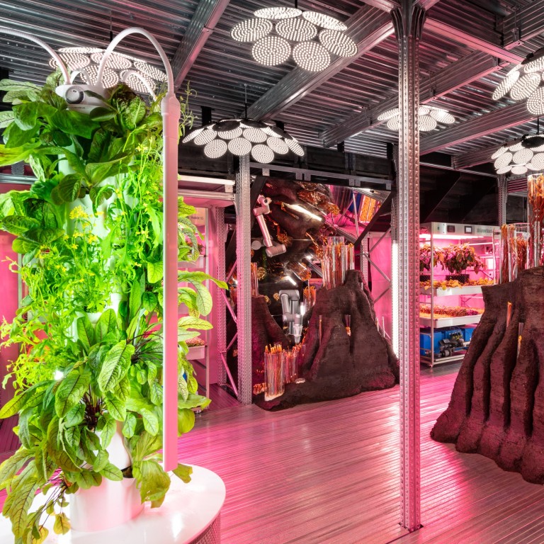 Grow Your Own Food Concept For Ikea By Tom Dixon Could Popularise