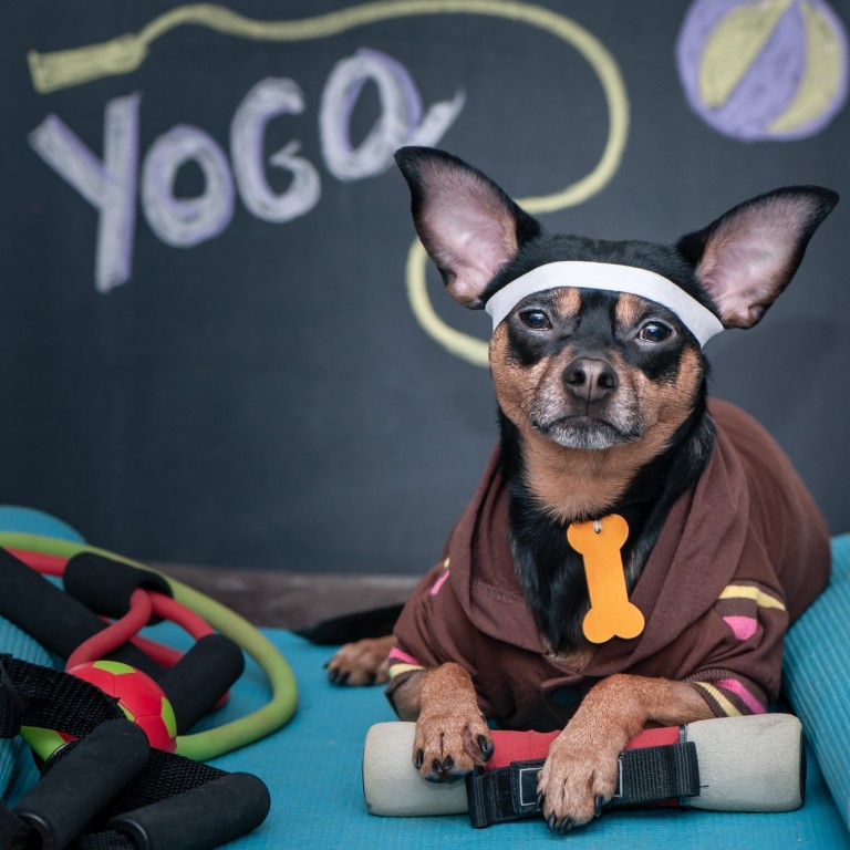 So, how many accessories do you really need for your yoga workout?