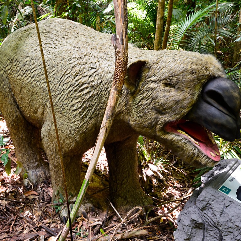 ‘Giant wombat’ fossil discovery in Australia leaves vital clues of life 40,000 years ago South