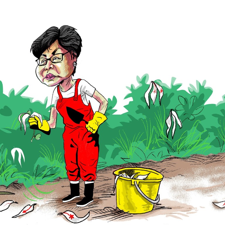 Lessons From Hong Kong S Protests Carrie Lam Is A Liability The