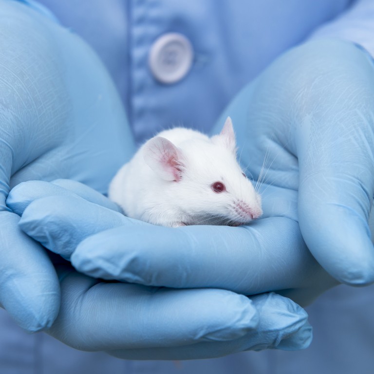 Chinese Scientists Find Cancer Hope In Old Pest Remedy - 