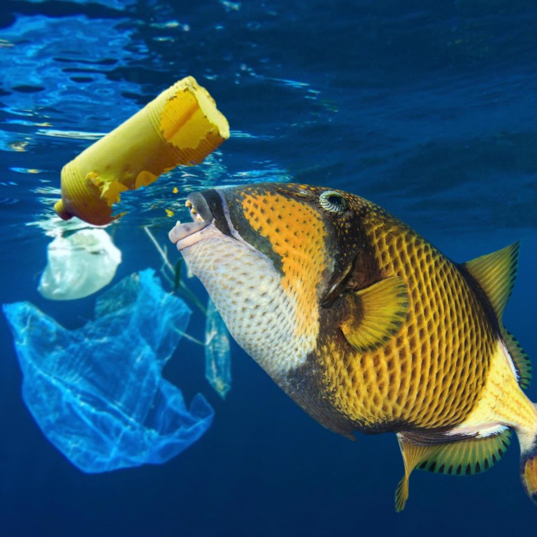 Opinion | Fight against plastic must begin at home | South China ...