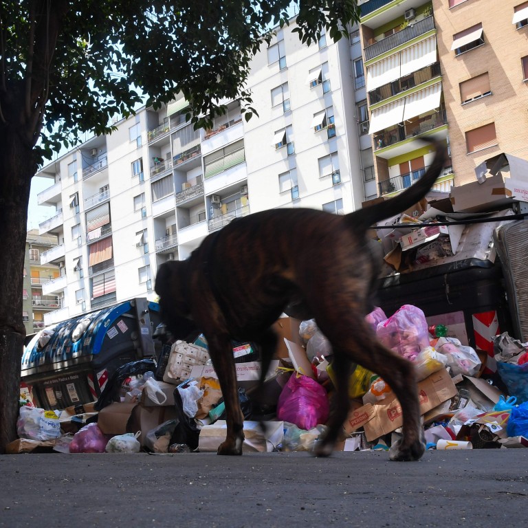 Eternally stinky city? Rats feast on garbage in Rome as trash crisis
