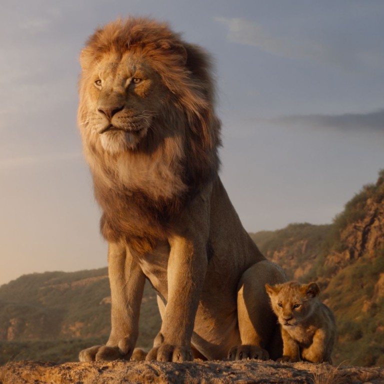 The Lion King Film Review Disney S Photo Real Remake Is An