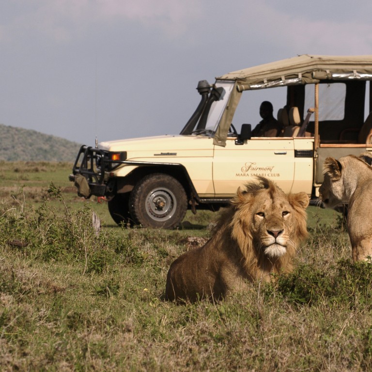 The release of the new version of the popular Disney film The Lion King has prompted Fairmont Hotels and Resorts to package three of its Kenyan properties as perfect destinations for African wildlife fans to embark on their own Lion King adventure. Photo: Fairmont Mara Safari Club