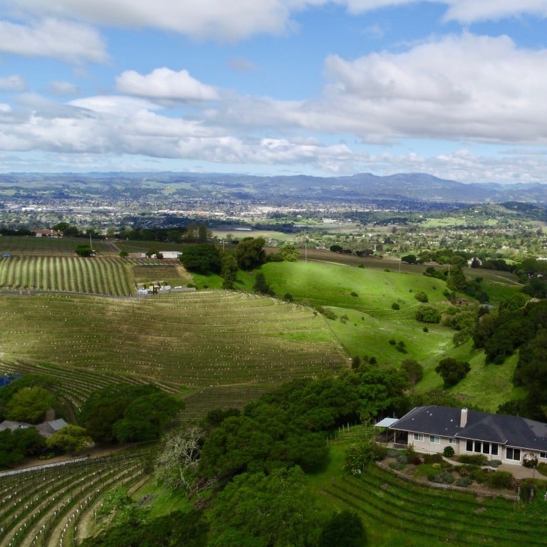 For Chinese property investors seeking to diversify their portfolios around the world, vineyards remain high on their list.