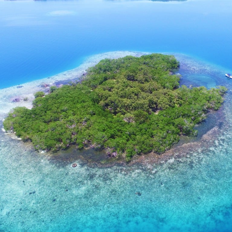 This private island in Belize, in Central America, is for sale for US$350,000. Photo: 7th Heaven Properties