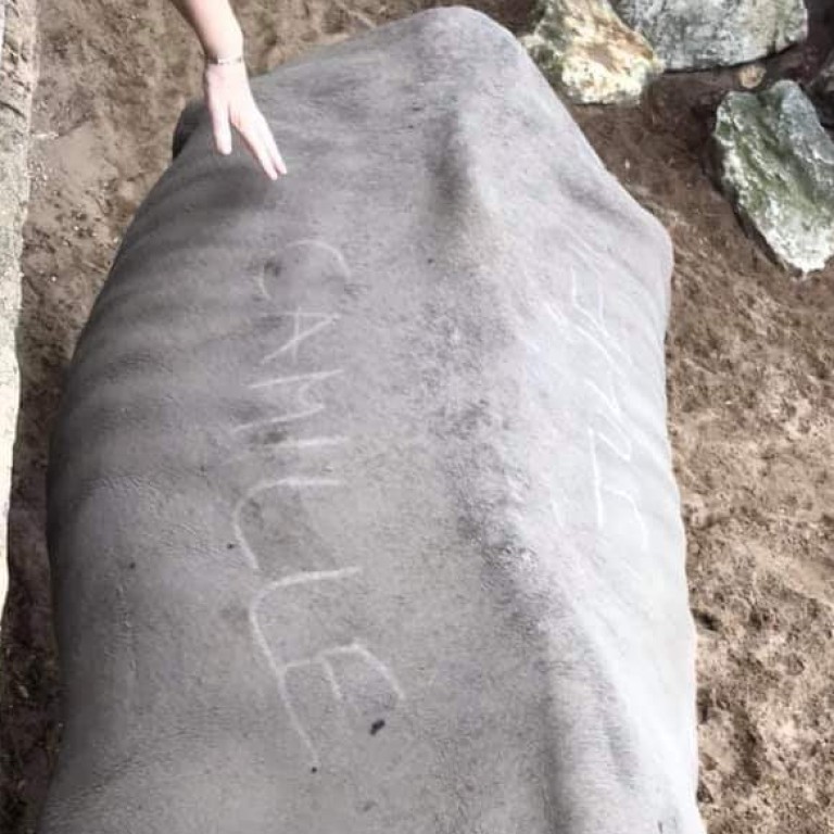 Outrage as visitors scratch names into rhino’s back at French zoo(02)