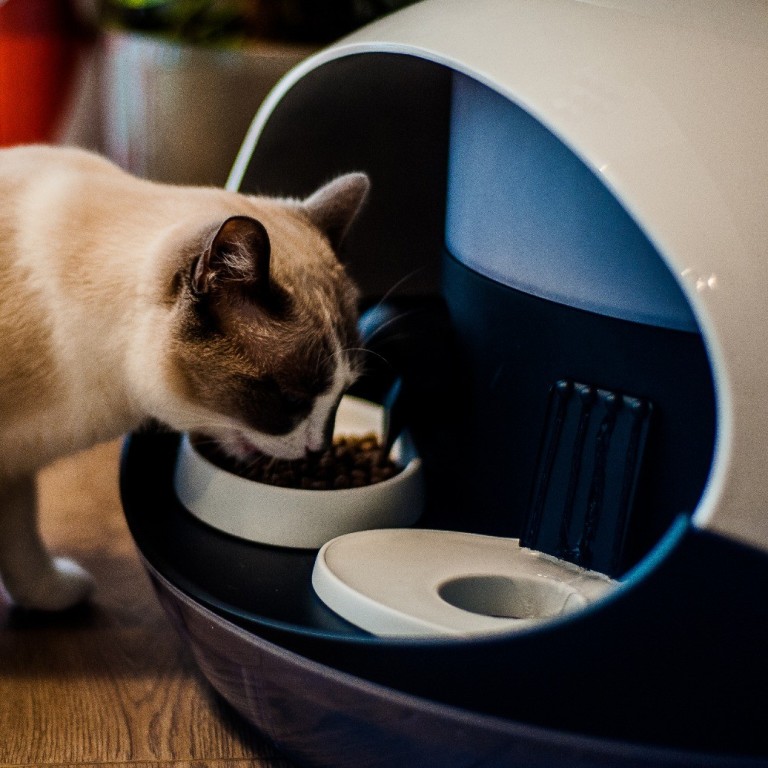 Catspad feeder cheap