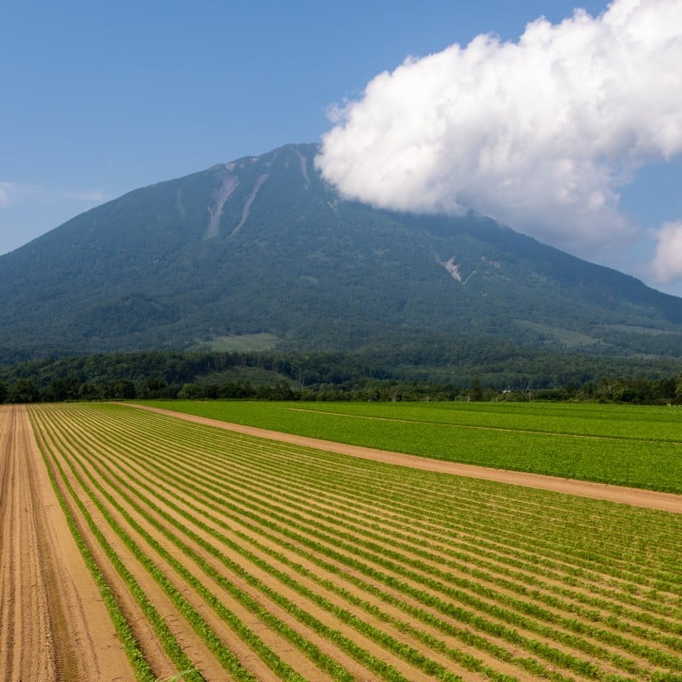 Mount Yotei is a popular destination for travellers both in winter and summer. Photo: Niseko Photography and Guiding