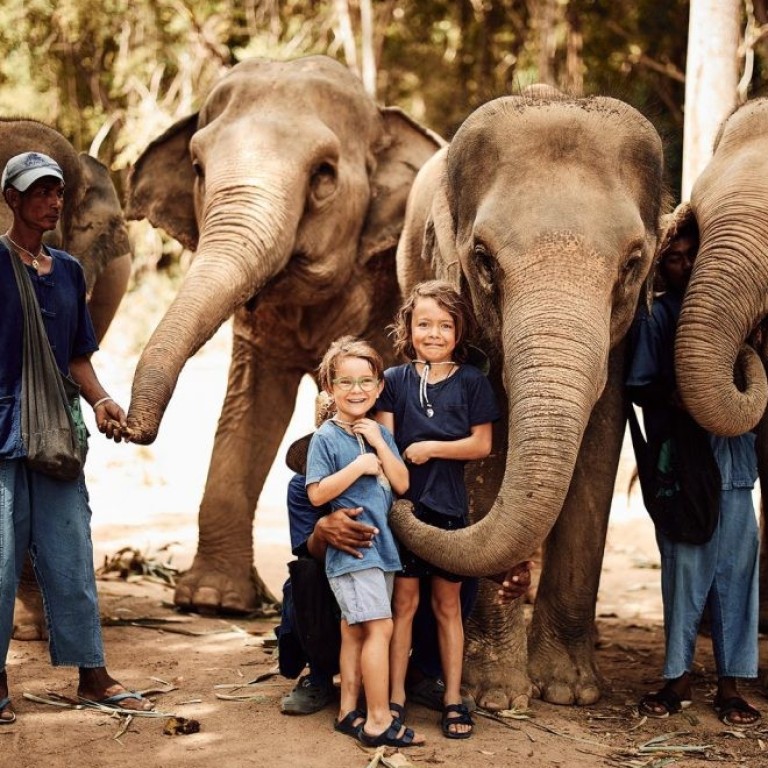 Elephants at ethical elephant sanctuaries will spend time with you because they want to, not because they are forced to do so. Photo: Aquabumps/Samui Elephant Sanctuary