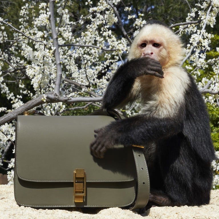 A handbag from the Saint Laurent Winter 2019 collection.