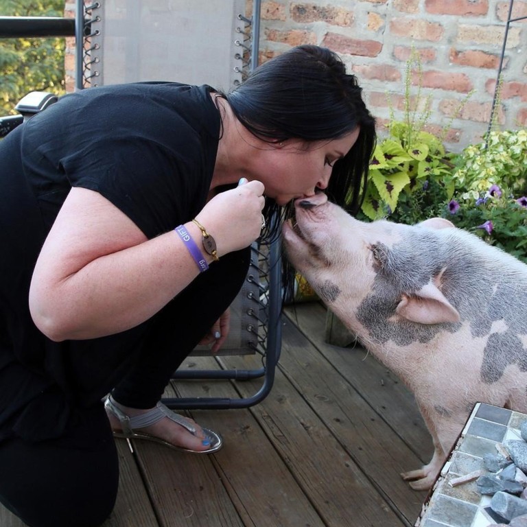 The Millennial Pet Owners Who Get Into Debt Keeping Their Animal 