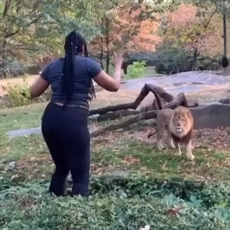 Woman climbs into lion enclosure at Bronx Zoo to dance in ...