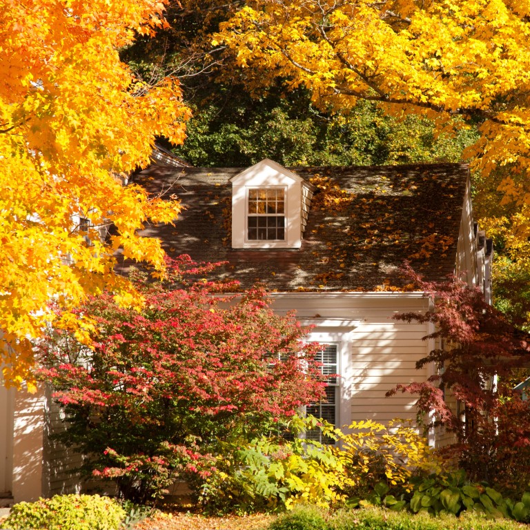 New England In The Fall The Good Bad And Ugly Sides Is It An New England In The Fall The Good Bad And Ugly Sides Is It An