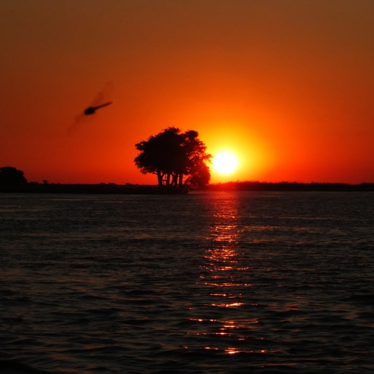 Scientists claim to have pinpointed a swathe of land south of the Zambezi River as having been home to a founder population of modern humans. Photo: Shutterstock