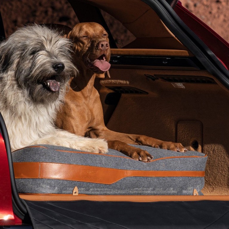 Aston Martin’s new DBX SUV caters for pet owners, too.