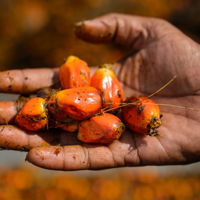 Malaysia Signs Palm Oil Export Deal As India Resumes Purchases South China Morning Post