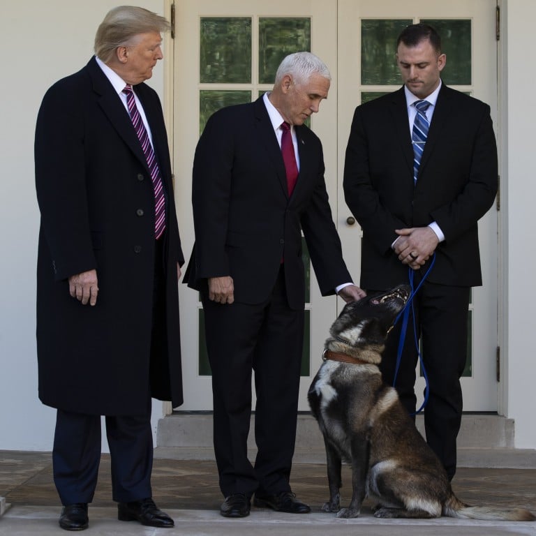 Donald Trump Shows Off Conan The Military Dog From Baghdadi Raid Calling It The Ultimate Fighter South China Morning Post