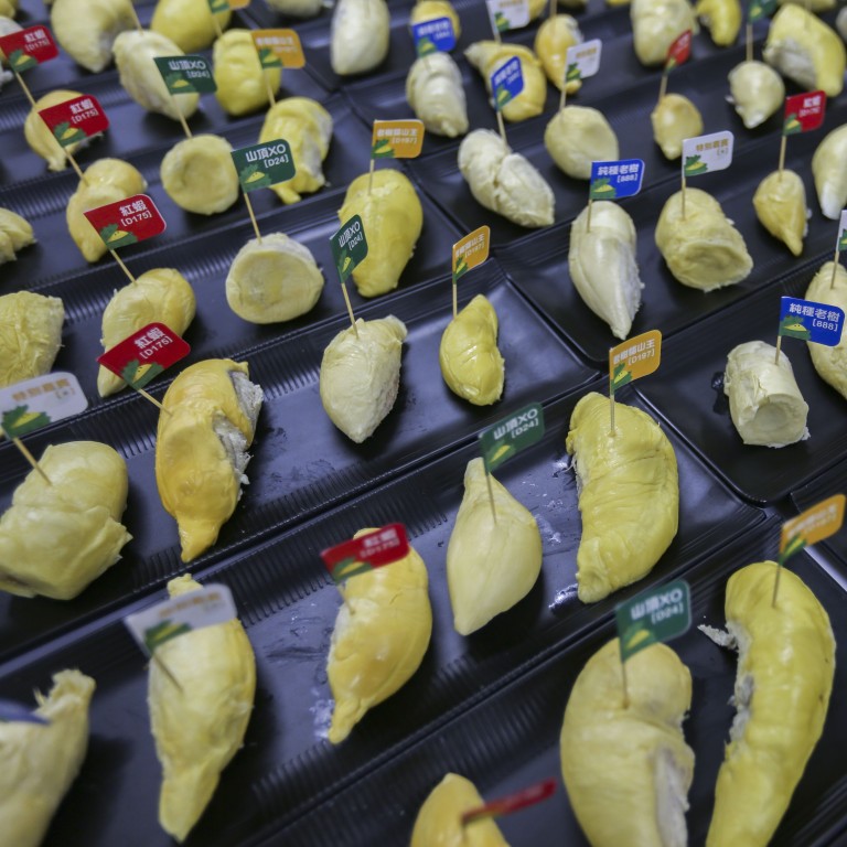 Durian Gentrification Don T Sniff It S Malaysia S Soft Power Plan To Become Musang King Of The World South China Morning Post