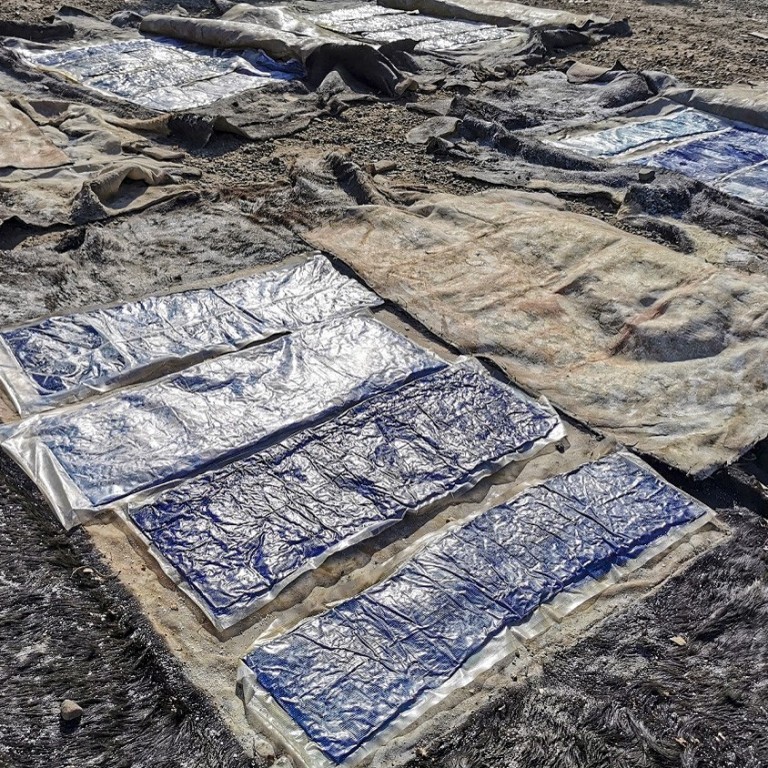 In The Gutter 20 Health Religion Drugs