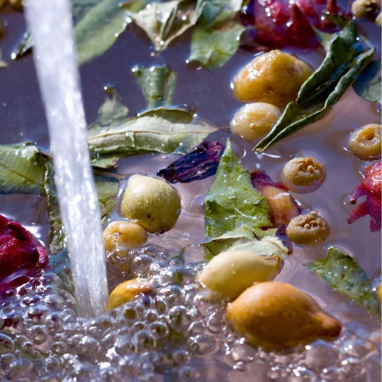 Age-defying banksia flower, Kakadu plum and native fragonia are on the spa menu at South Australia’s Southern Island Lodge, Kangaroo Island. Photo: Southern Island Lodge