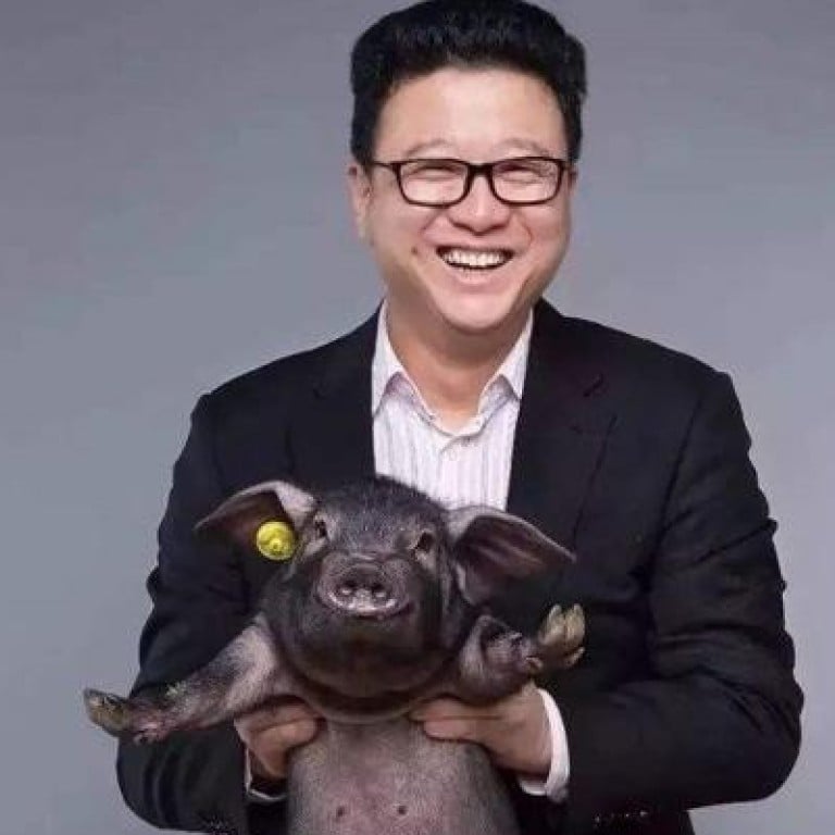 Despite making his billions in video games and internet services, Ding Lei has made investments in agriculture as part of a bid to lift the fortunes of China’s rural communities.