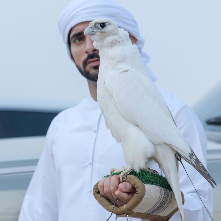 Falconry is a traditional pastime in the UAE, where Sheikh Hamdan bin Mohammed Rashid Al Maktoum is Crown Prince. Photo: Instagram