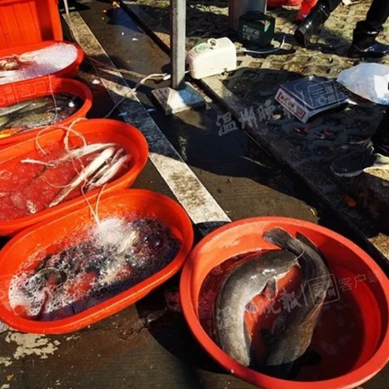 Chinese city clamps down after customer is duped into buying fish tainted  with diesel