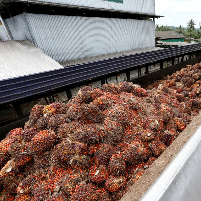 As Malaysian Palm Oil Gets A Shot Of Modi S Nationalism Should India Worry South China Morning Post