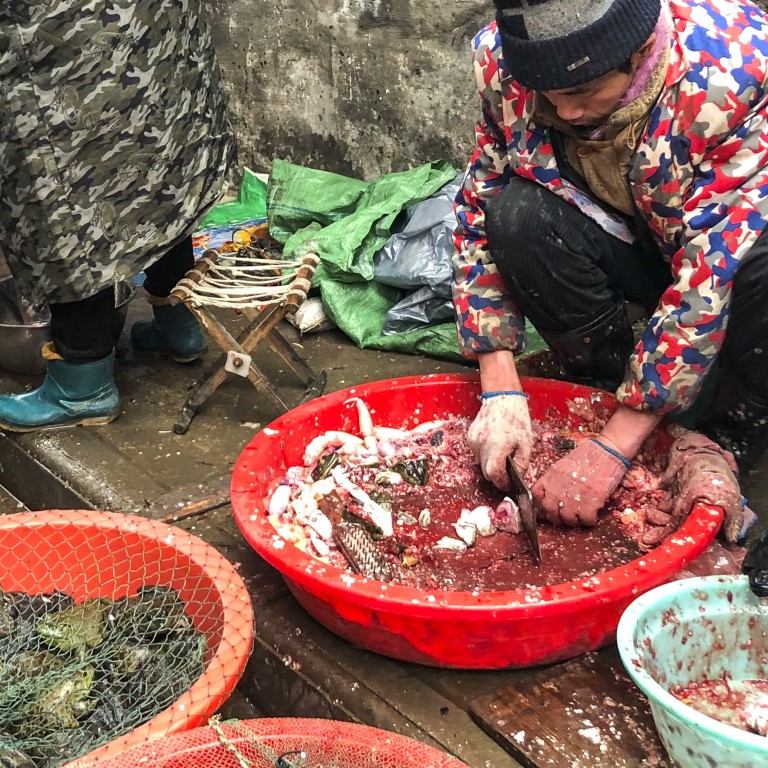 China bans wildlife trade as Wuhan coronavirus spreads, death toll ...