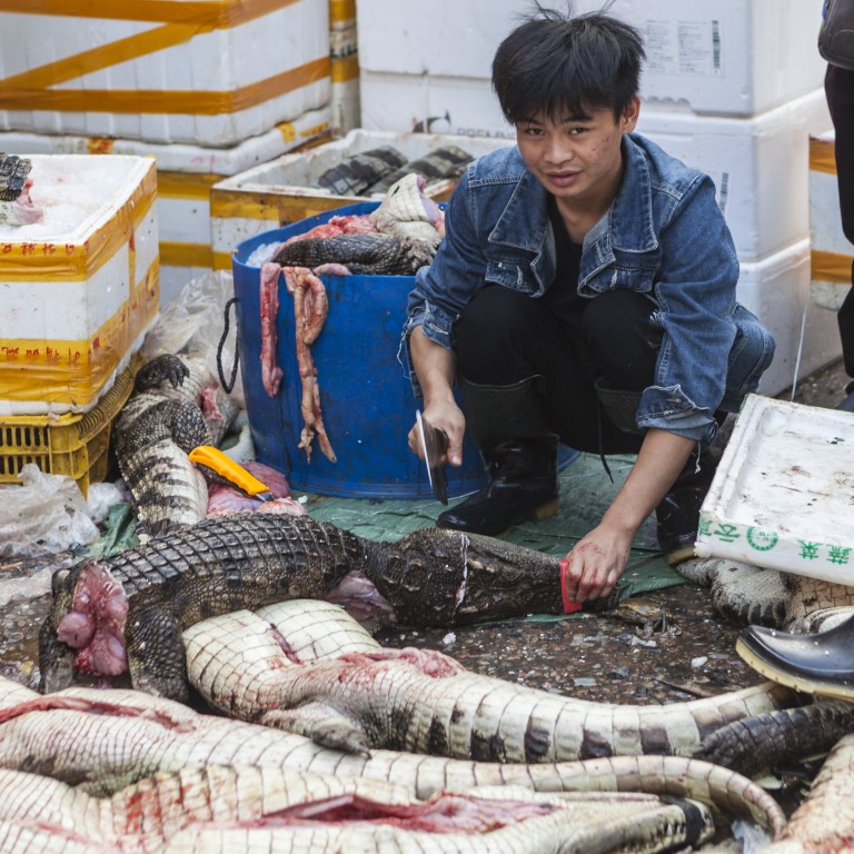 China's Ban on Wildlife Trade a Big Step, but Has Loopholes