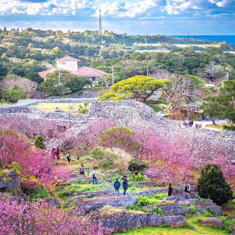 Along with Nakijin Castle Ruins, there are loads of options for travel to Okinawa, including stellar beaches, hiking trails, amazing Japanese food and more. Photo: @traveler_sui/Instagram