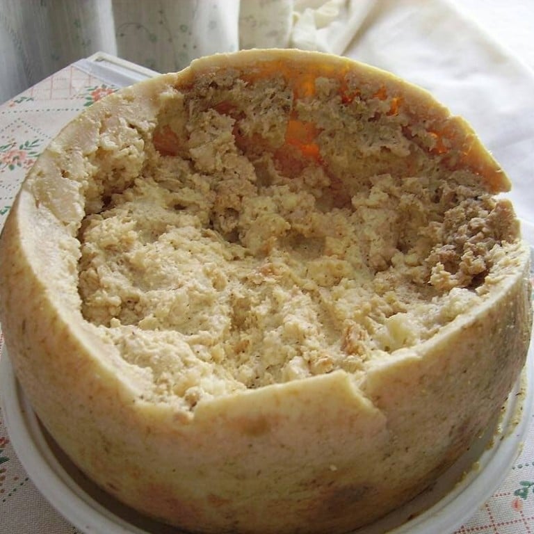 Casu marzu is considered a Sardinian delicacy, and an aphrodisiac – just never mind the (live) maggots. Photo: @focusardegna/Instagram