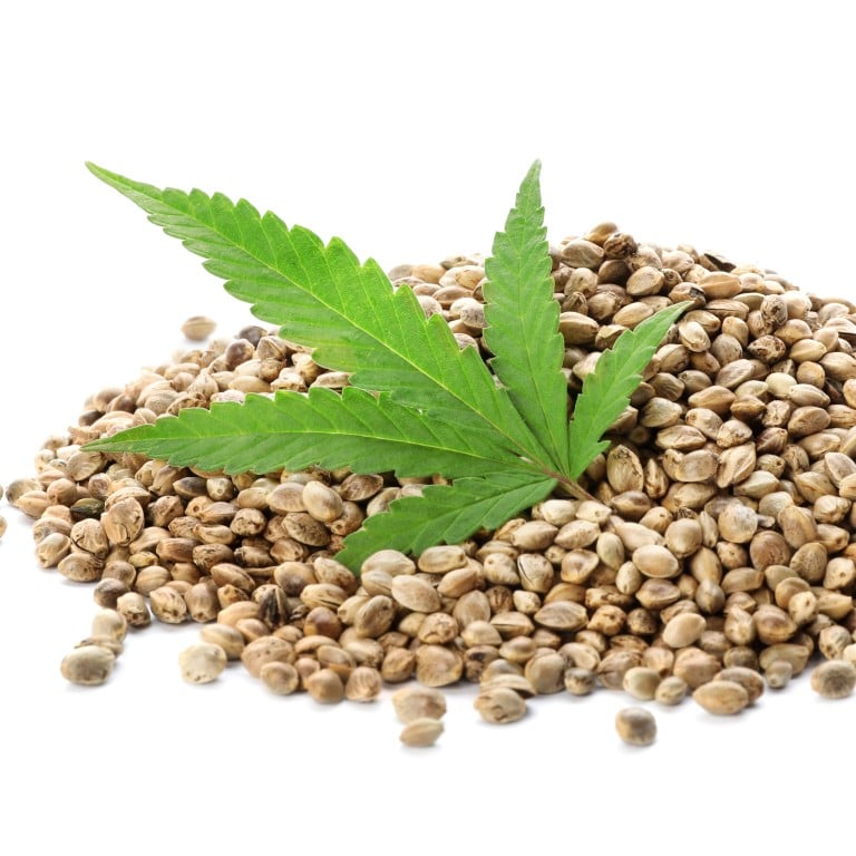 WHAT IS HEMP SEED OIL GOOD FOR?