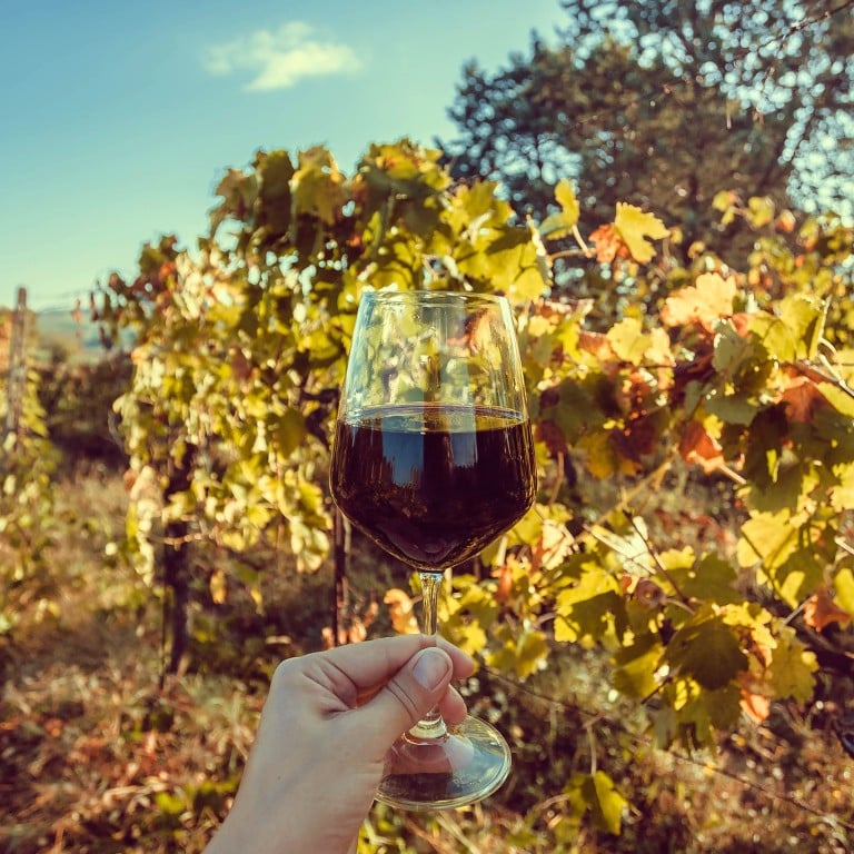 In addition to California, there are emerging wine regions worthy of exploration in the US, such as Texas. Photos: Getty Images