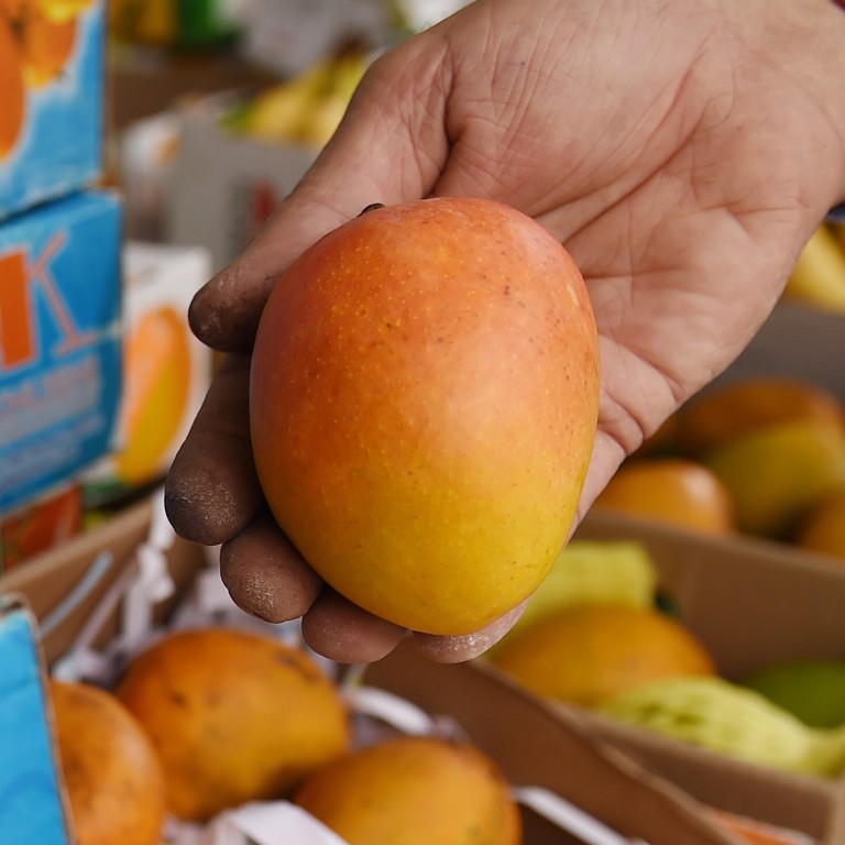 Why Mangoes Are The King Of Fruits In India And Form An Intrinsic Part Of Country S Culture South China Morning Post Top banana producing countries in the worldrankcountryproduction (in tonnes)1india27,575,0002china (mainland)12,075 indiaindia is the world's largest producer of mangoes, along with banana, papaya, and lemon. why mangoes are the king of fruits in