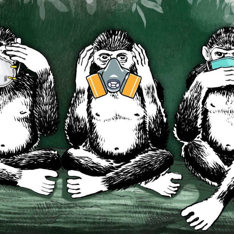 Download Free Coronavirus N95 Surgical Face Mask Or Diy Experts Say PSD Mockup Template