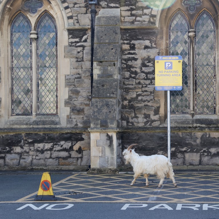 This Easter, coronavirus tragedy reminds humanity to stop playing God