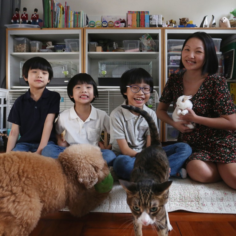 Fostering deals exotic animals