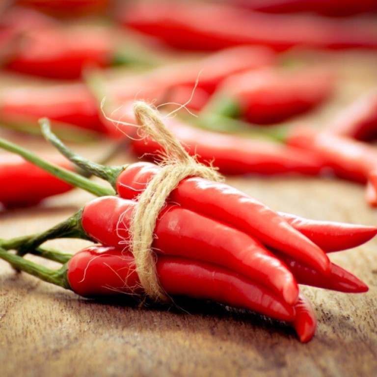 Red Chile Peppers Information and Facts
